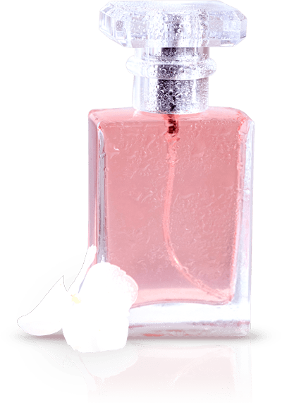 perfume-company-33